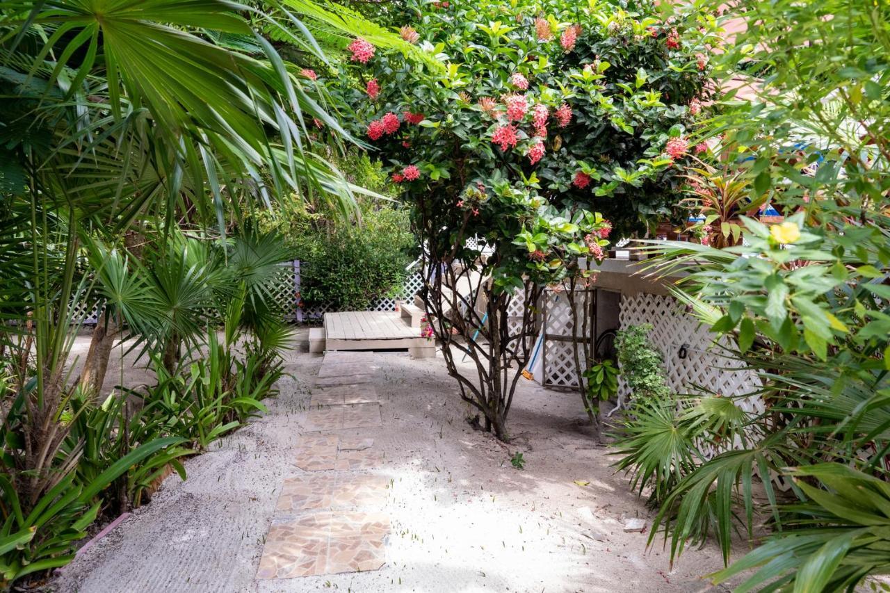 Hummingbirds Cabins Caye Caulker Bagian luar foto